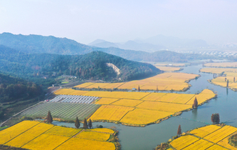 寧波：霧漫東錢(qián)湖