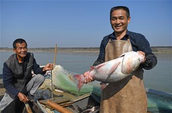 鄱陽(yáng)湖：人歡魚躍冬捕忙